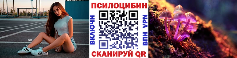 Купить закладки  Спасск-Рязанский  Галлюциногенные грибы мицелий 
