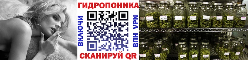 Каннабис Amnesia  Купить где  Спасск-Рязанский 